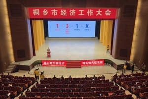 【菊乡快评】经济工作大会上，桐乡市委书记为何重点讲尊龙凯时人生就是搏的电子布？